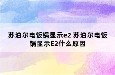 苏泊尔电饭锅显示e2 苏泊尔电饭锅显示E2什么原因